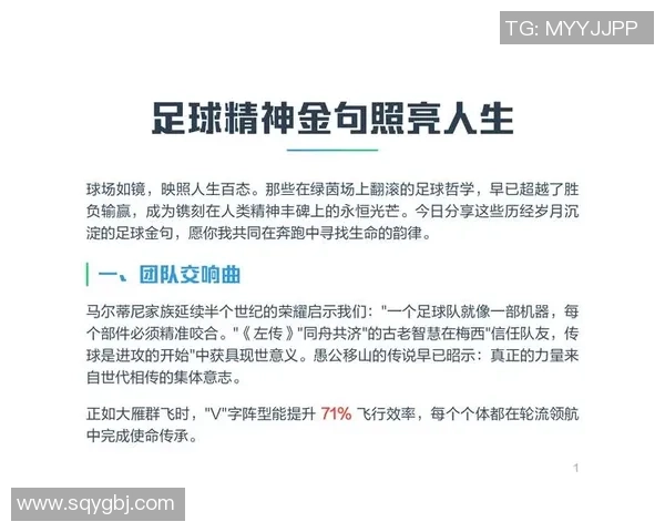 在绿茵场上领悟人生哲理与团队精神的深刻启示