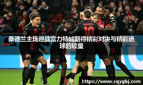 桑德兰主场迎战富力特城期待精彩对决与精彩进球的较量